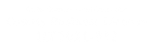 Collier County Business License LCC2021-982 | Sapphire Pools of Florida, Inc.